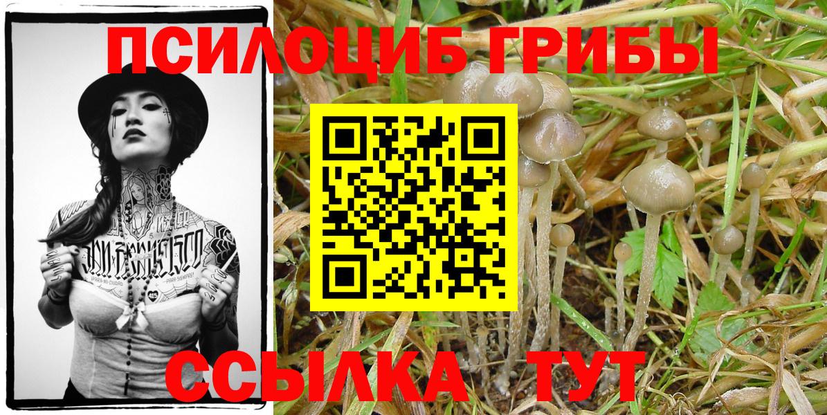 Псилоцибиновые грибы GOLDEN TEACHER  Вход с VPN  Барнаул 